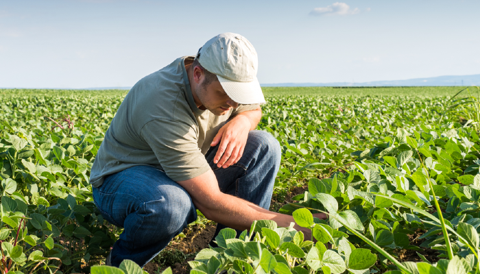 Thoughts On an Organic-Only Approach to Agriculture