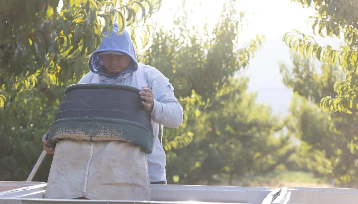 Utah Farm Bureau Member Appears on KSL Radio to Talk Labor Reform