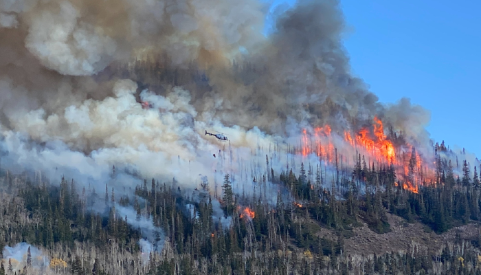 Wildfire Safety Starts at Home