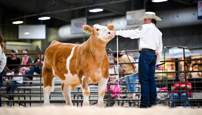 How Farm Bureau Supports Youth in Agriculture