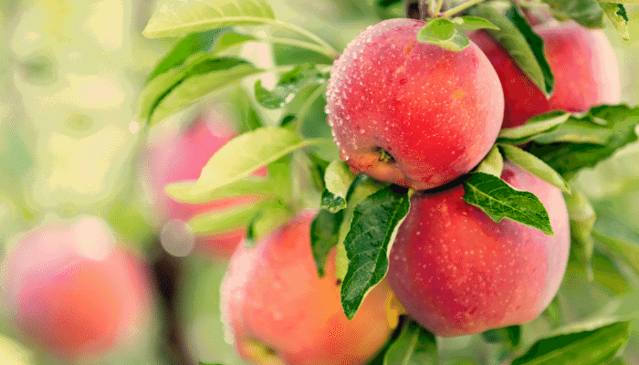 New Labor Decision Removes Some Burden on Farmers