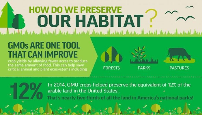 Infographic: How Do We Preserve Our Habitat?