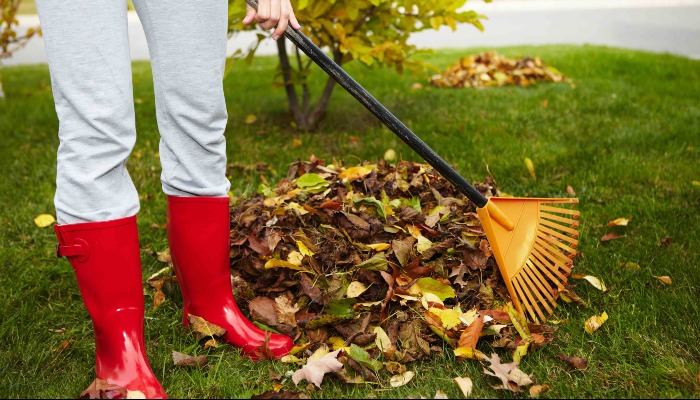 Ask an Expert - Autumn Yard and Garden Tips