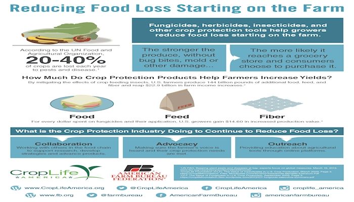Food Waste Infographics Tell a Compelling Story