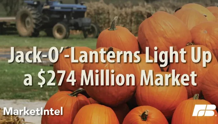 Carving Out a Living: Celebrating America’s Pumpkin Market