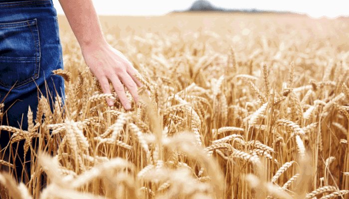 Growing Together: Our Family’s Journey in Agriculture