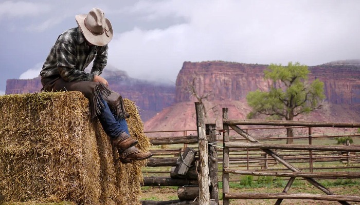 Farm Relief Payments Bring Needed Support, but Gaps Remains