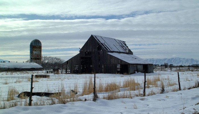 How to Keep Your Farm Employees Warm in Winter Conditions
