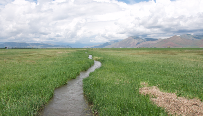 AFBF Encourages Farmers and Ranchers to Share Thoughts on WOTUS Rule