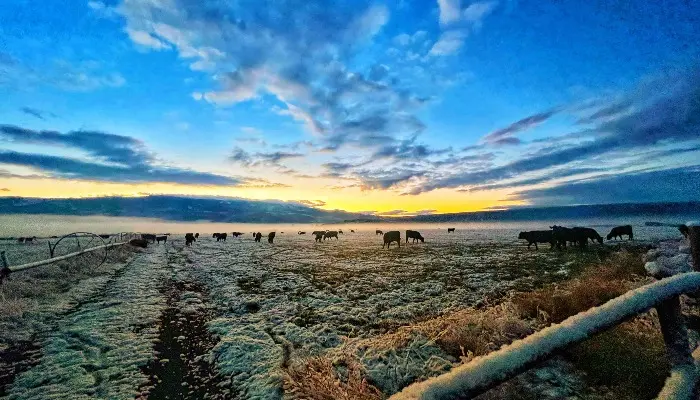 Momentum Is Building for Agriculture