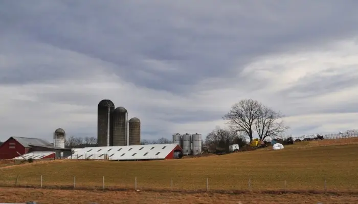Feeding the Economy Report Shows Agriculture’s Significant Economic Impact
