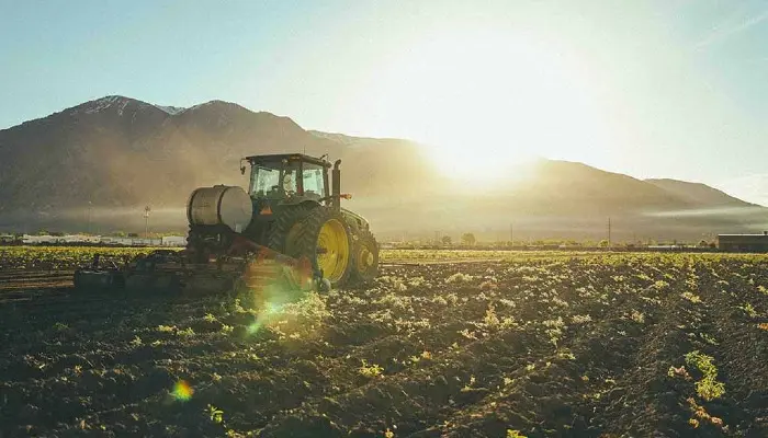 New Food Dollar Report Shows Farmer's Share Shrinking