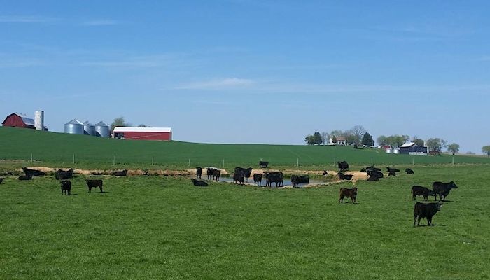 Is Ag the Answer to STEM?