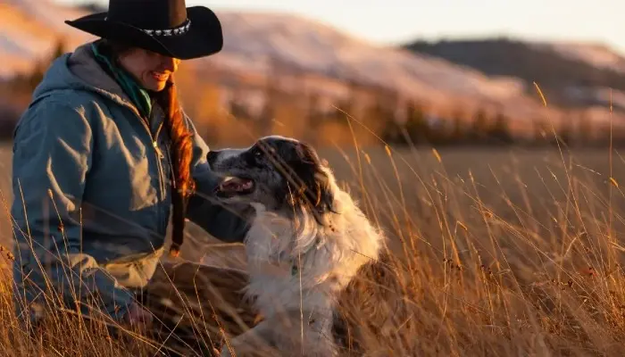 Nominations Open for 2027 Farm Bureau Farm Dog of the Year Contest