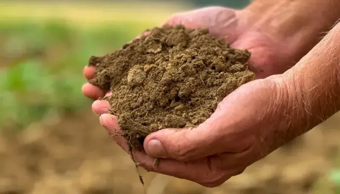 Utah Department of Agriculture and Food's Agricultural Voluntary Incentive Program (AgVIP)