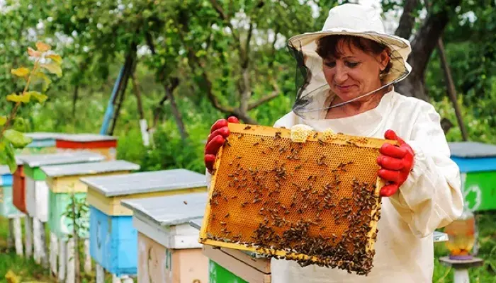 4 Reasons You Need Hobby Farm Insurance