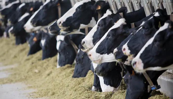 New Guidance to Ease Farm Labor Shortage Applauded