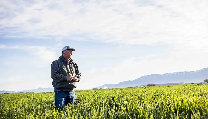 Saving every drop: Inside a dairy farm’s approach to water use