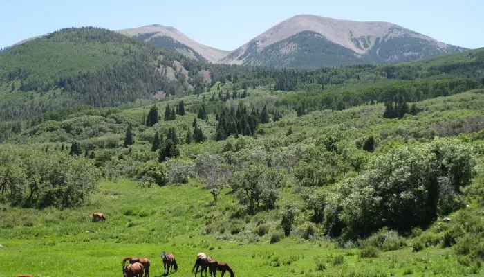 Gov. Cox appoints Jamie Barnes as commissioner of the Utah Department of Natural Resources