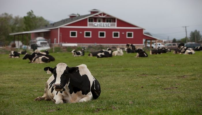 2016 Farm Income Decline – But…
