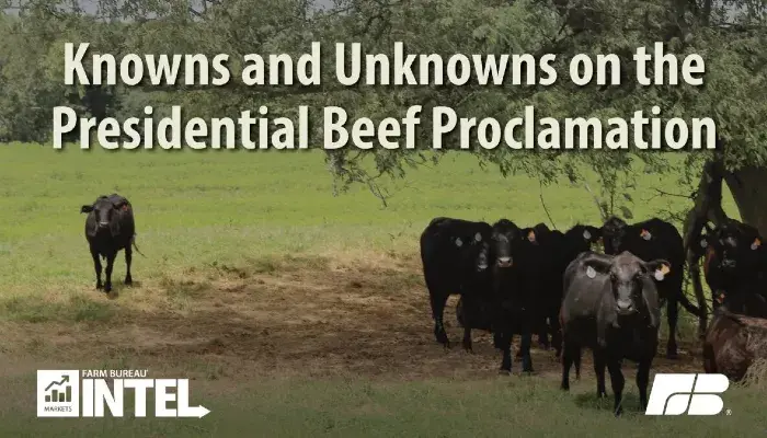 Knowns and Unknowns on the Presidential Beef Proclamation