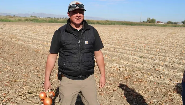 Diesel Prices Remain High as Farmers Ramp Up Harvest