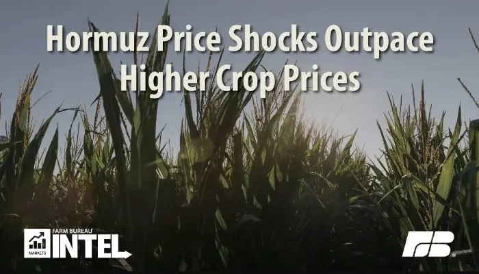 Hormuz Price Shocks Outpace Higher Crop Prices