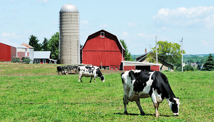 Major Ag Policy Discussions Coming in 2017