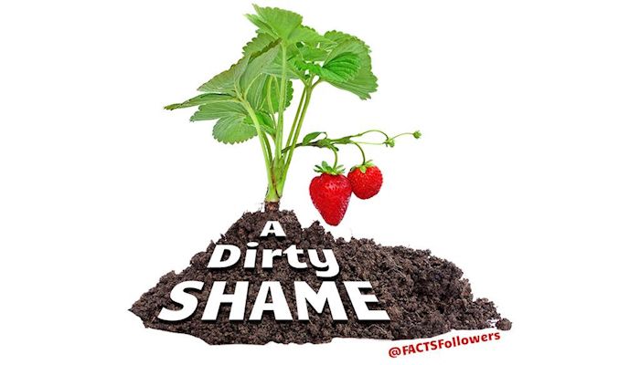 Fast Take! The Dirty Dozen: Wash, Rinse, Eat and Repeat