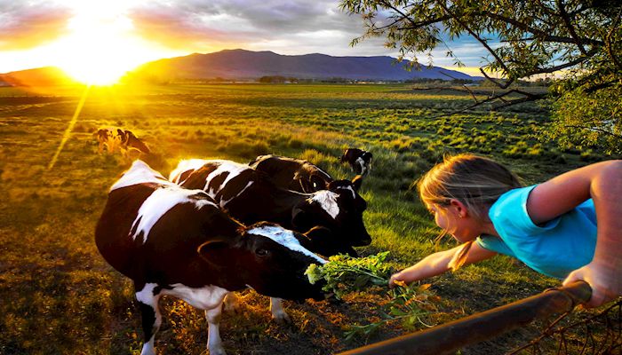 Celebrating the Miracle of Agriculture