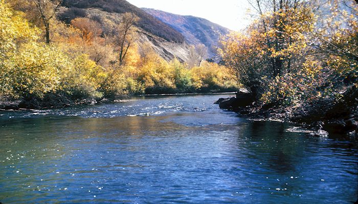 Key Water Management Tools