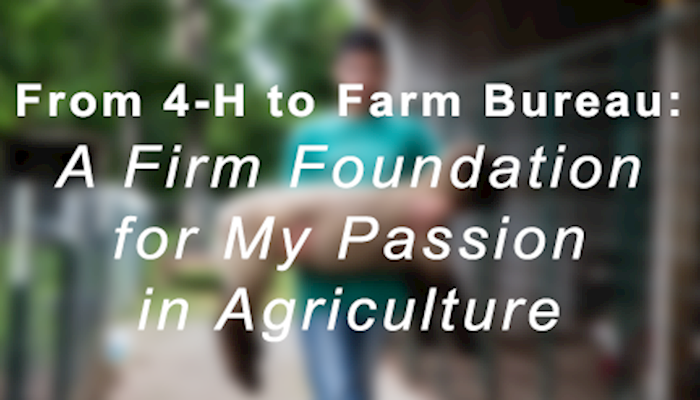 From 4-H to Farm Bureau: A Firm Foundation for My Passion in Agriculture