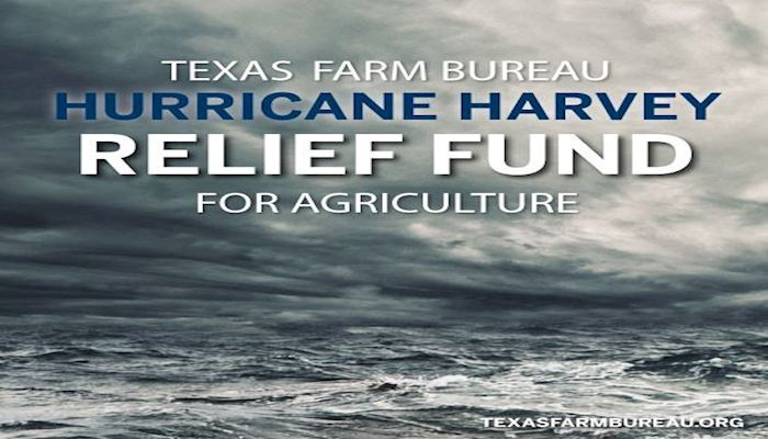 Texas Farm Bureau Sets Up Hurricane Harvey Relief Fund to Help Farmers & Ranchers