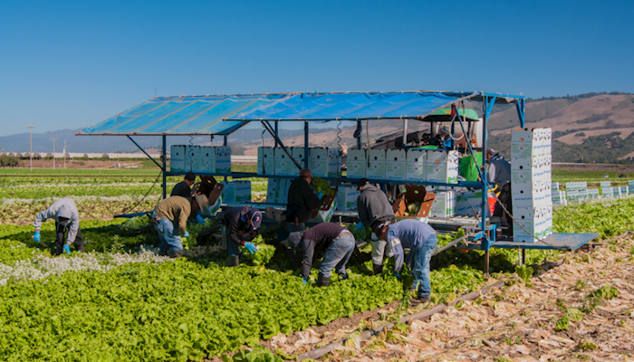 Farm Bureau Urges Support for AG Act Workforce Legislation