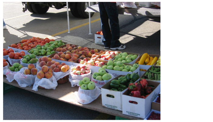 Farmers Market Scavenger Hunt