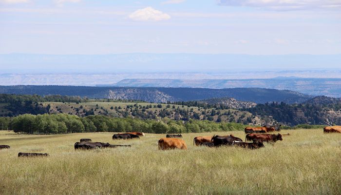 Happy National Agriculture Day!