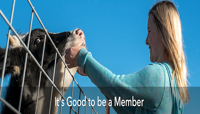 USFRA Featured in USA TODAY Agriculture Special Edition
