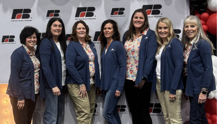 State and County Women's Committee Directory