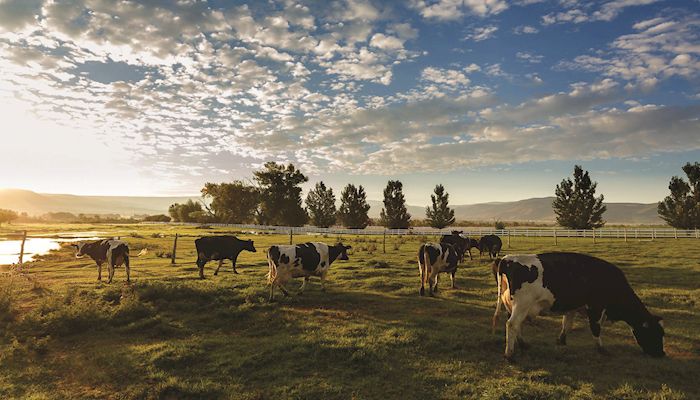 Dairy Council of Utah & Nevada combines with Dairy West of Idaho