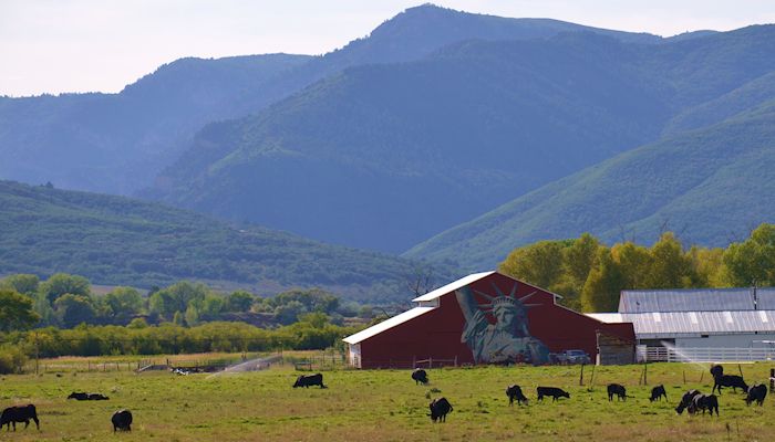 Military Veterans in Farm Country