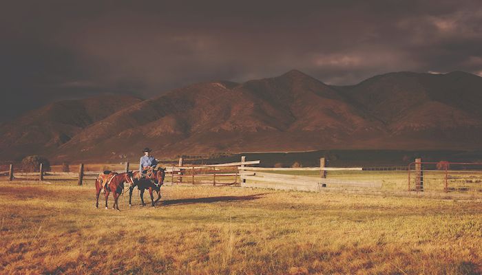 Reviewing 2018 CRP Rental Rates