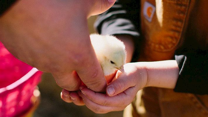 Women's Committee County Grants